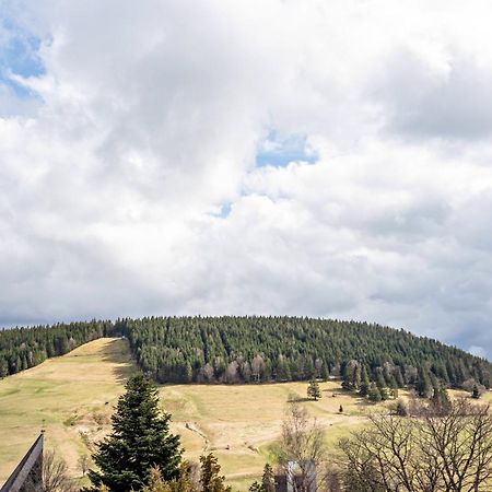 Haus Bergruh Kuckucksnest Apartment Todtnauberg Exterior foto